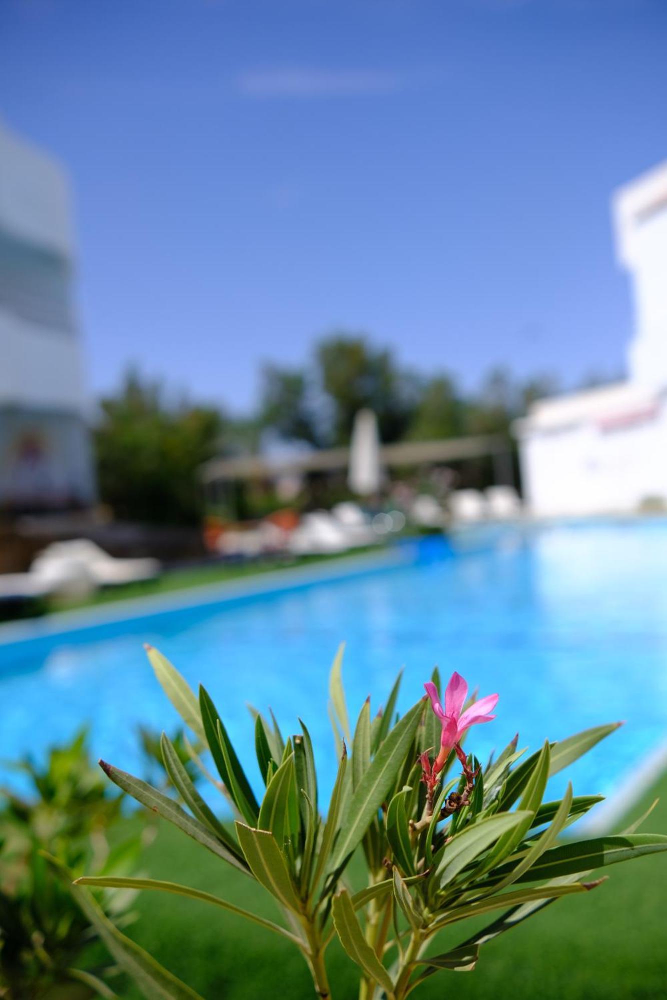 Viking Club Hotel Sharm El Sheikk Exterior foto